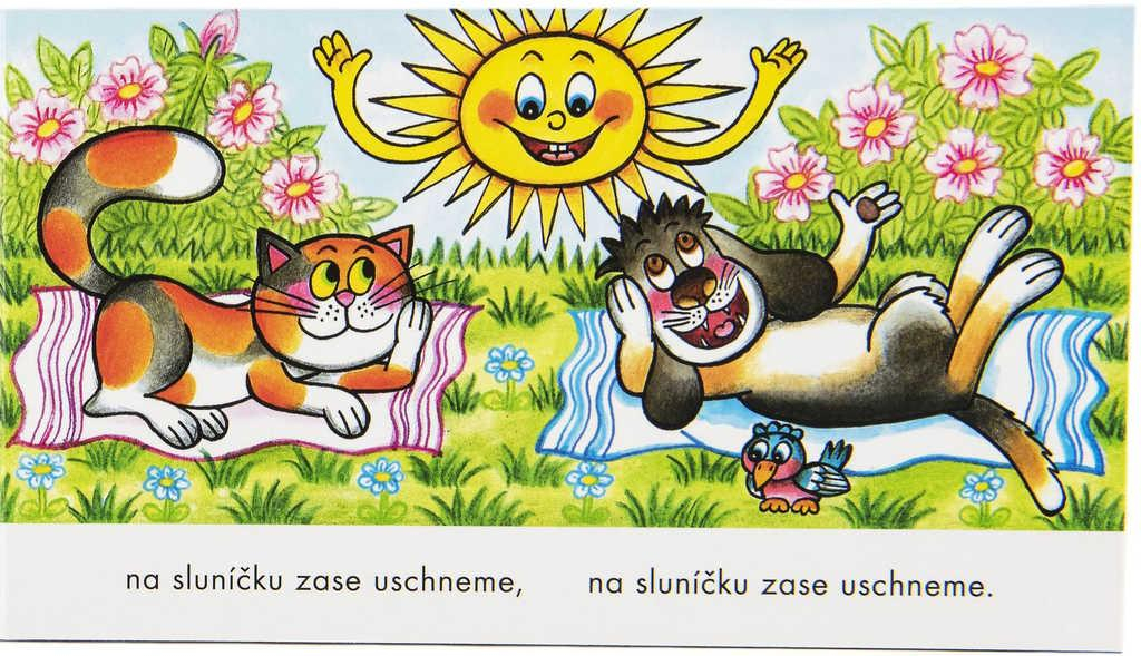 nahrávám obrázek