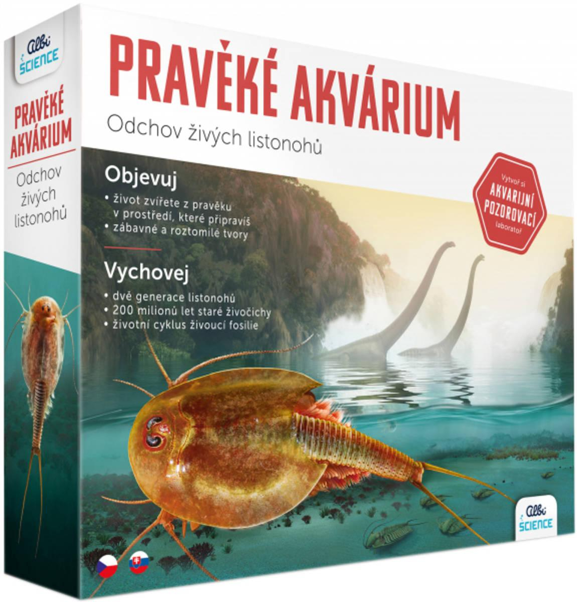 nahrávám obrázek