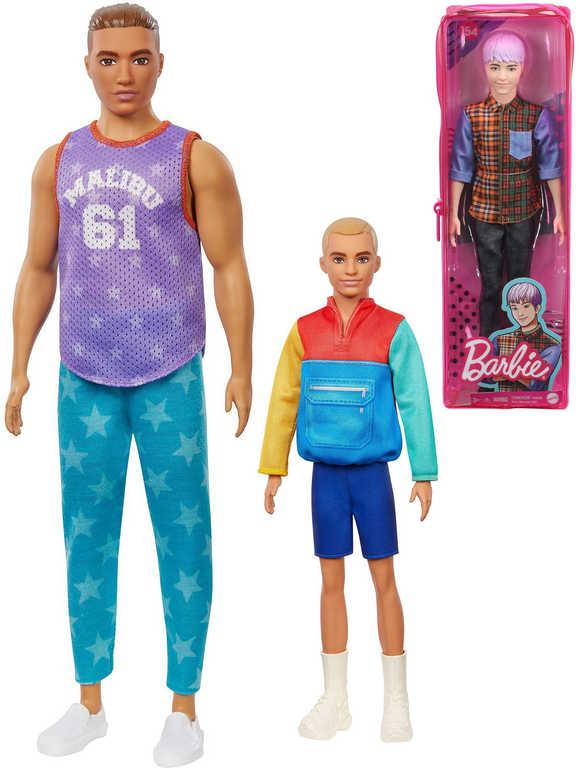 ds21488133_mattel_brb_barbie_fashionistas_panak_ken_model_5_druhu_v_krabicce_1