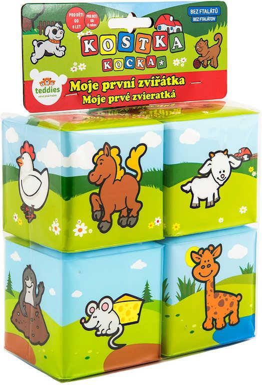 nahrávám obrázek