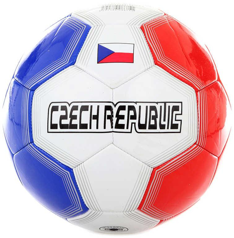 nahrávám obrázek