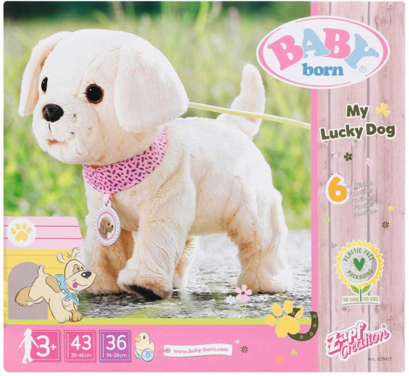 ds38794398_zapf_baby_born_muj_vesely_pejsek_interaktivni_zviratko_na_baterie_na_kabel_zvuk_6