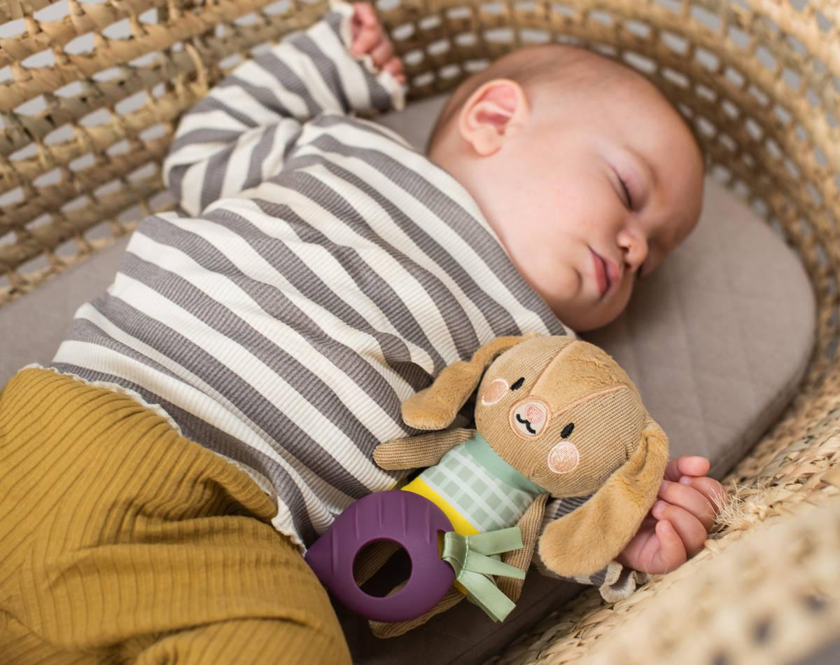 ds45007760_taf_toys_plys_baby_kralicek_jenny_zavesne_chrastitko_a_kousatko_pro_miminko_2
