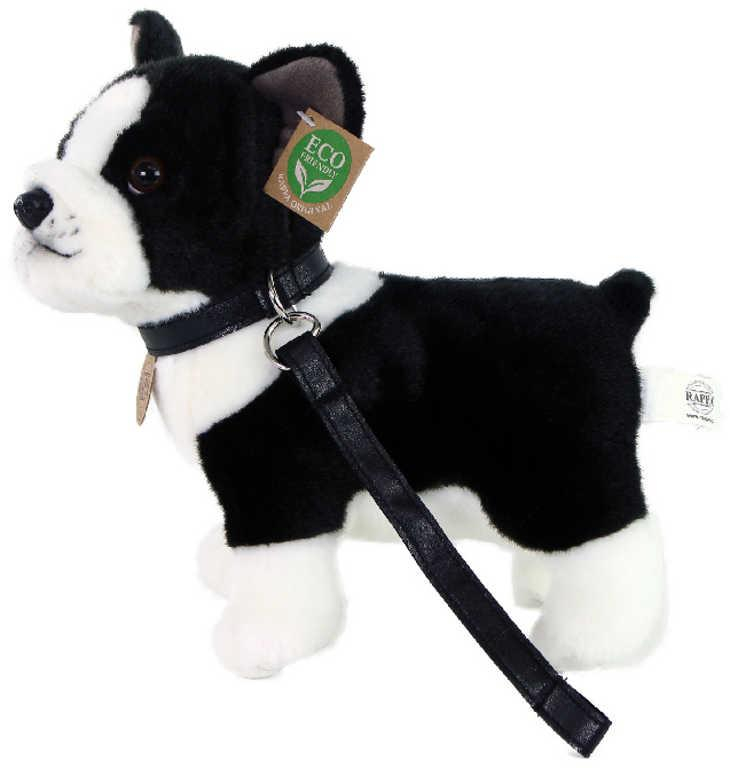 ds48785005_plys_pes_francouzsky_buldocek_23cm_s_voditkem_eco_friendly_plysove_hracky_2