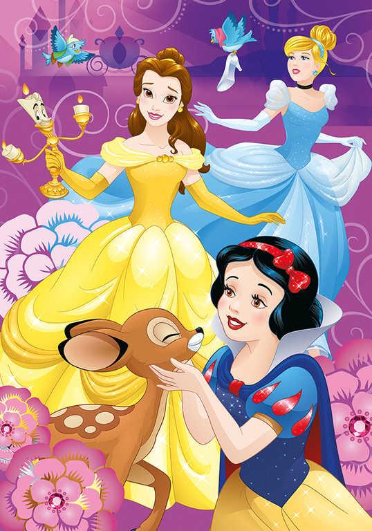 ds49201519_dino_puzzle_xl_disney_duhove_princezny_100_dilku_33x47cm_skladacka_v_krabici_1