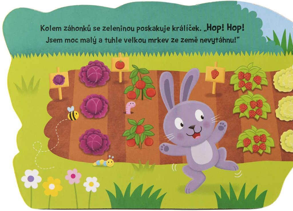 ds49893459_knizka_male_kote_leporelo_obrazkove_se_zviratky_cesky_text_20x14cm_1