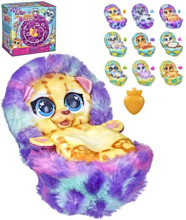 ds57845293_hasbro_furreal_rollies_tajemni_mazlicci_hunate_zviratko_s_prekvapenim_na_baterie_zvuk_5