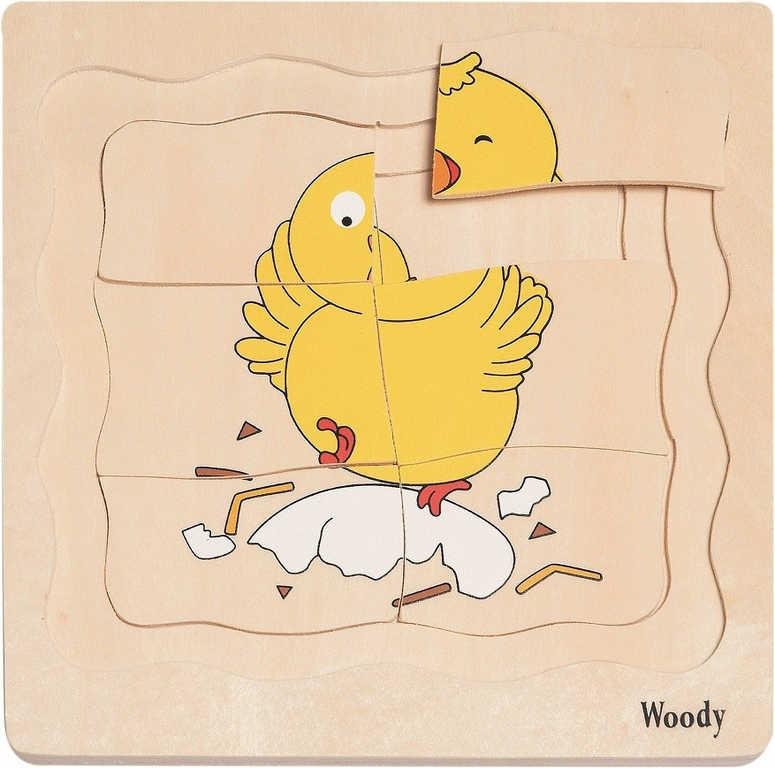 WOODY DŘEVO Puzzle naučné vývoj slepice 4 vrstvy 4 obrázky 4v1 na desce