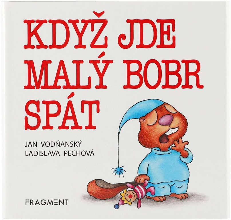 nahrávám obrázek