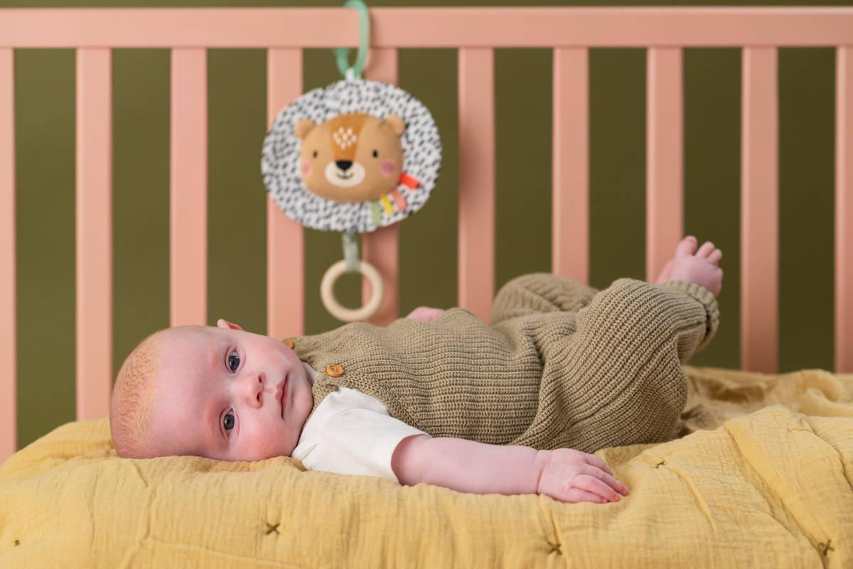 ds63659343_taf_toys_baby_lev_harry_textilni_hudebni_natahovaci_s_melodii_pro_miminko_2