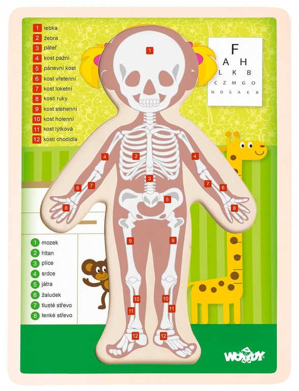 WOODY DŘEVO Puzzle holka naučná skládačka set 13 dílků s podložkou