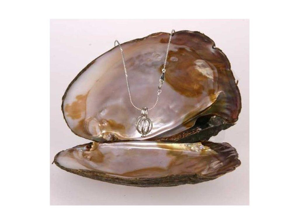 ds73785203_perla_v_ulite_5
