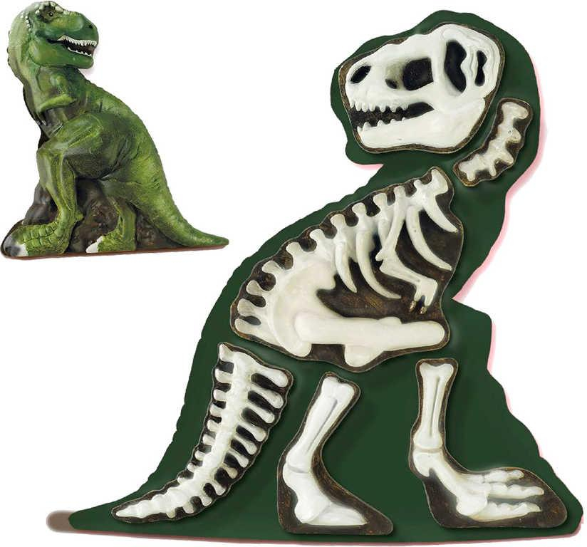 ds76005725_ses_creative_sadrovy_komplet_3d_dino_odlitek_kostra_t_rexe_sviti_ve_tme_3