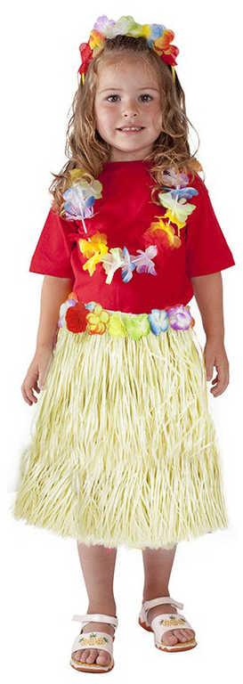 ds86915981_karneval_sukne_hawaii_hula_45cm_3_10_let_104_150cm_kostym_1
