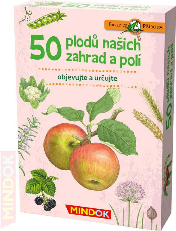 nahrávám obrázek