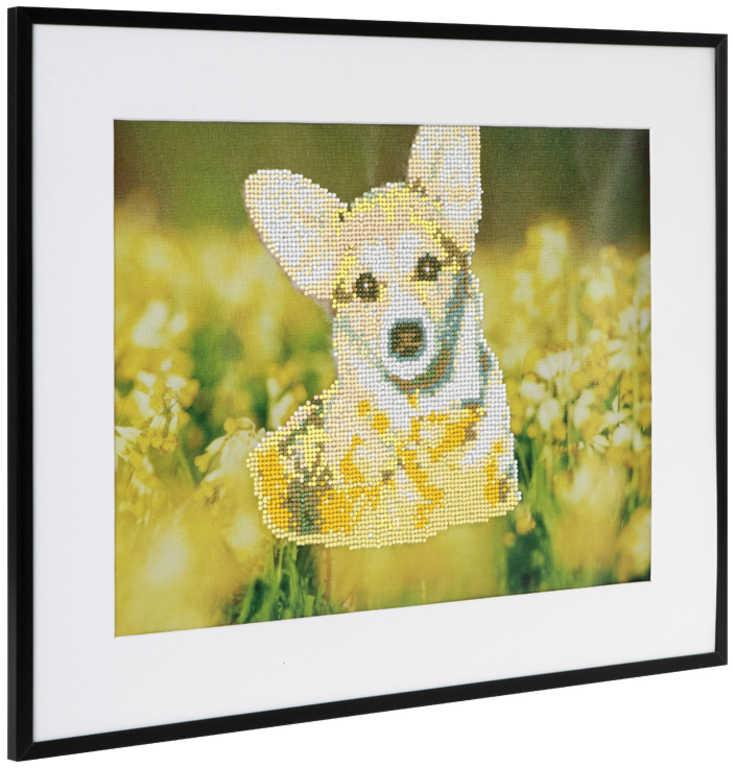 Diamond mozaika pejsek 50x40cm malování s kamínky kreativní set v krabici